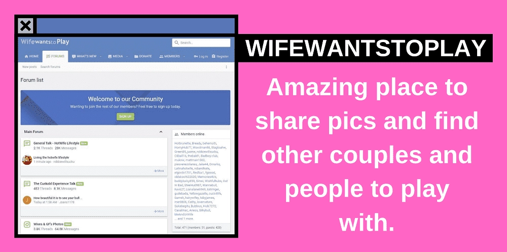 wifewantstoplay forum